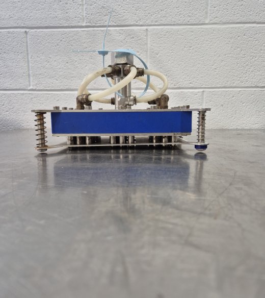 bf 1733312215 405967503ed76319f9 51671031 w520 h584