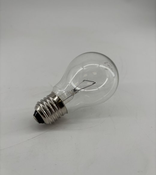 E27 60W 24v Bulb